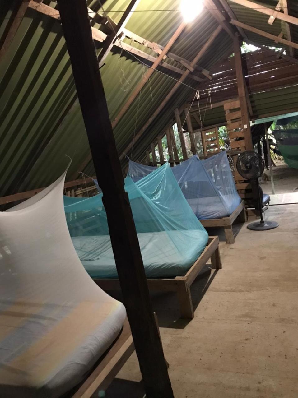 Xingu Camping Site 莱蒂西亚 外观 照片