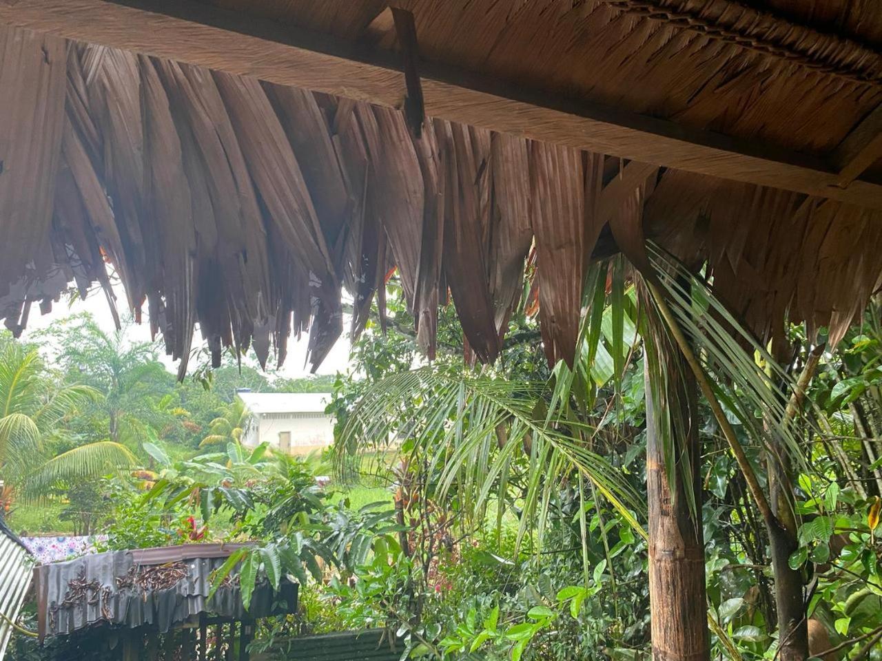 Xingu Camping Site 莱蒂西亚 外观 照片