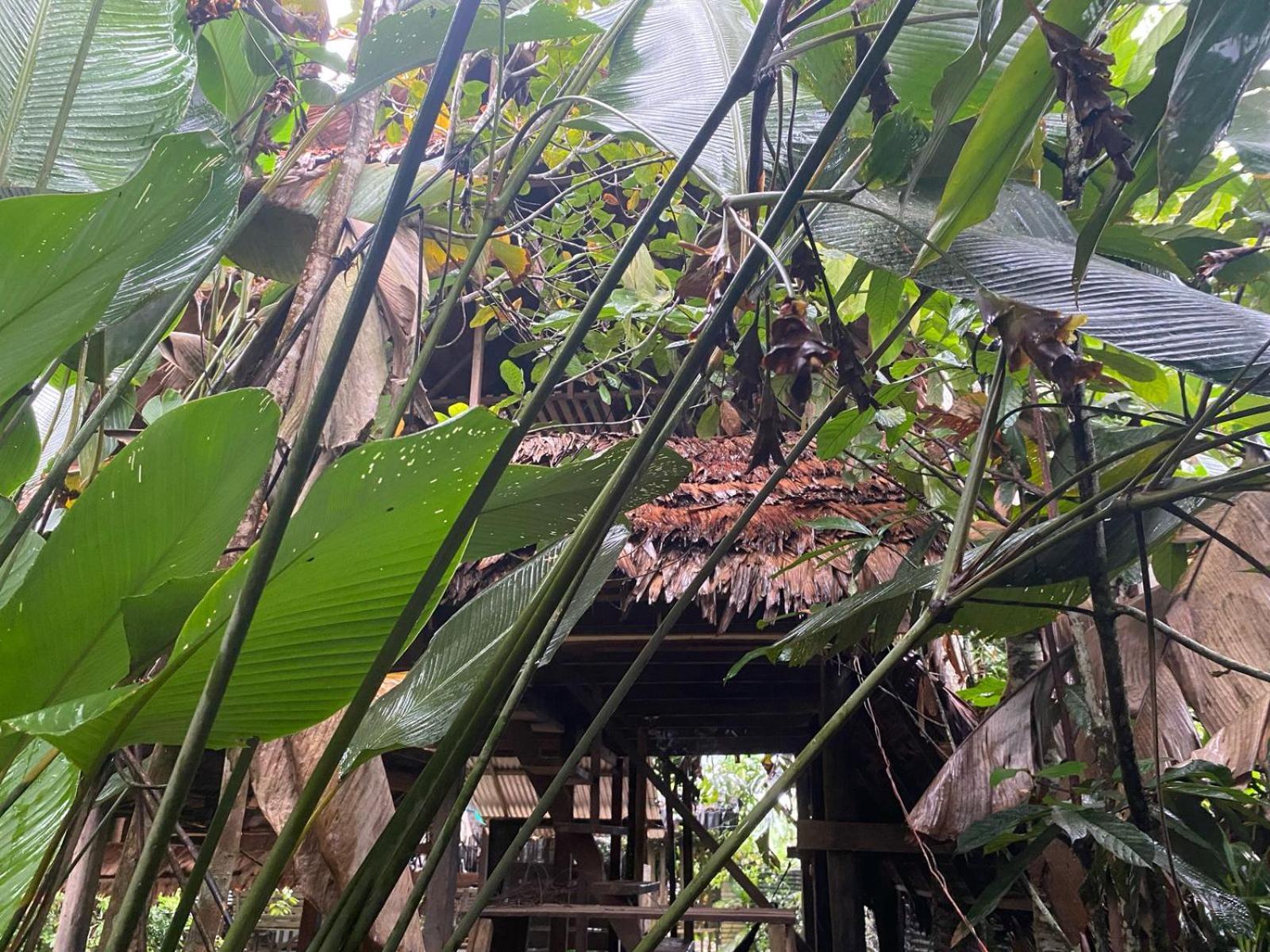 Xingu Camping Site 莱蒂西亚 外观 照片