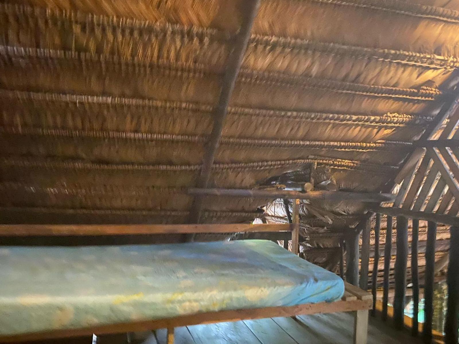 Xingu Camping Site 莱蒂西亚 外观 照片