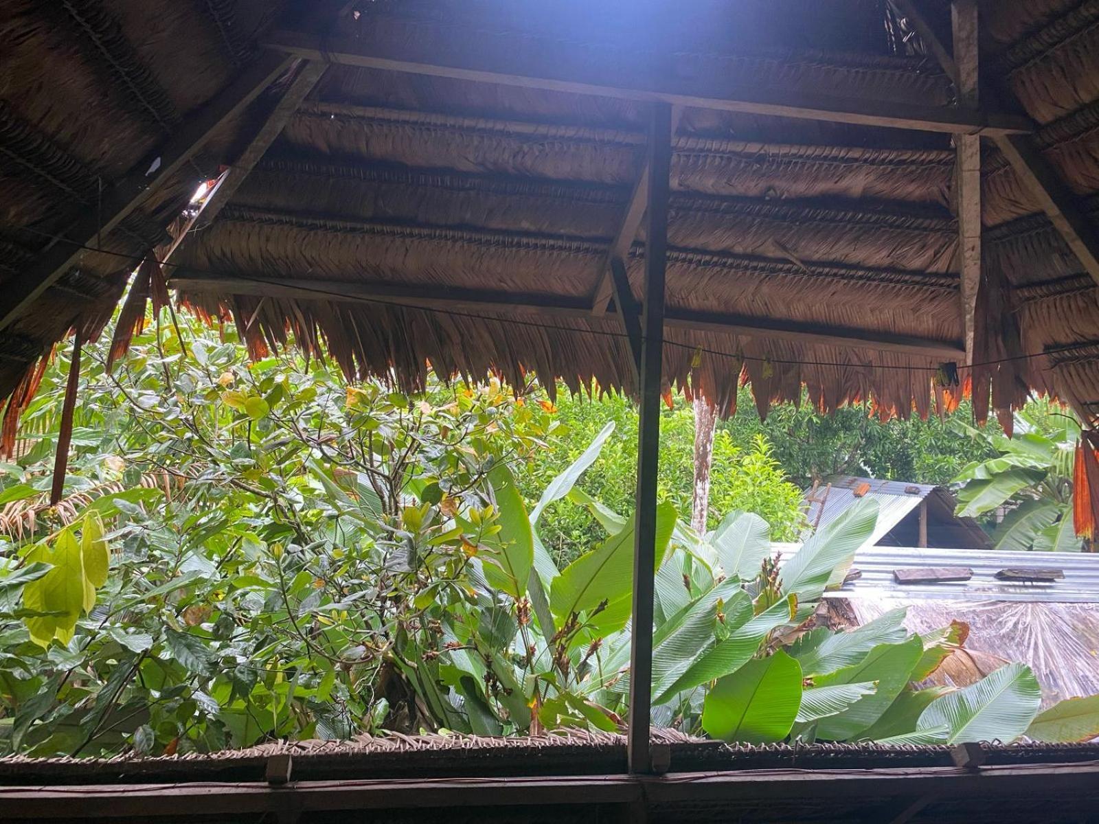 Xingu Camping Site 莱蒂西亚 外观 照片