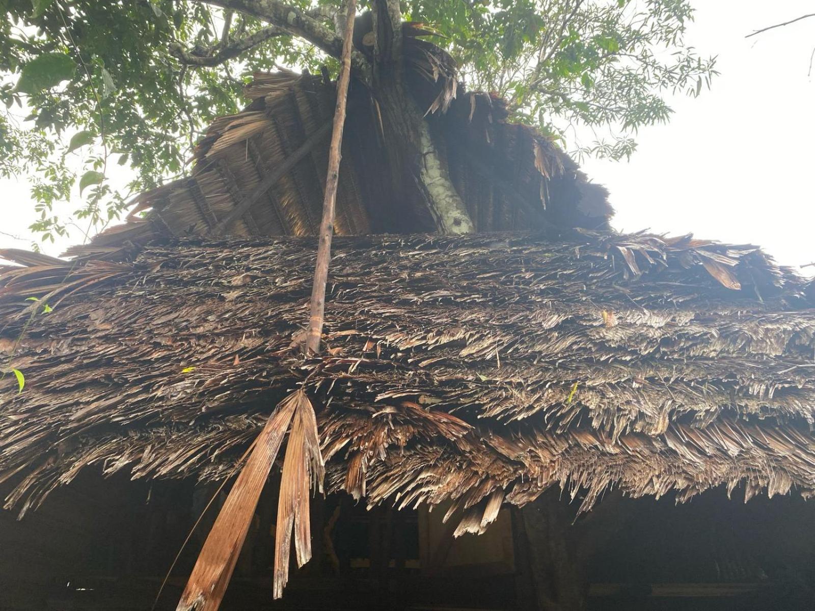 Xingu Camping Site 莱蒂西亚 外观 照片