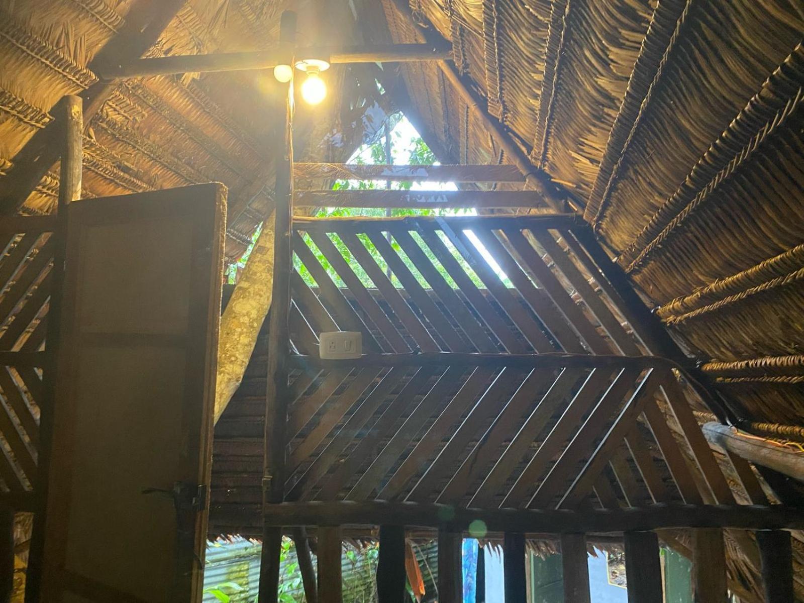 Xingu Camping Site 莱蒂西亚 外观 照片