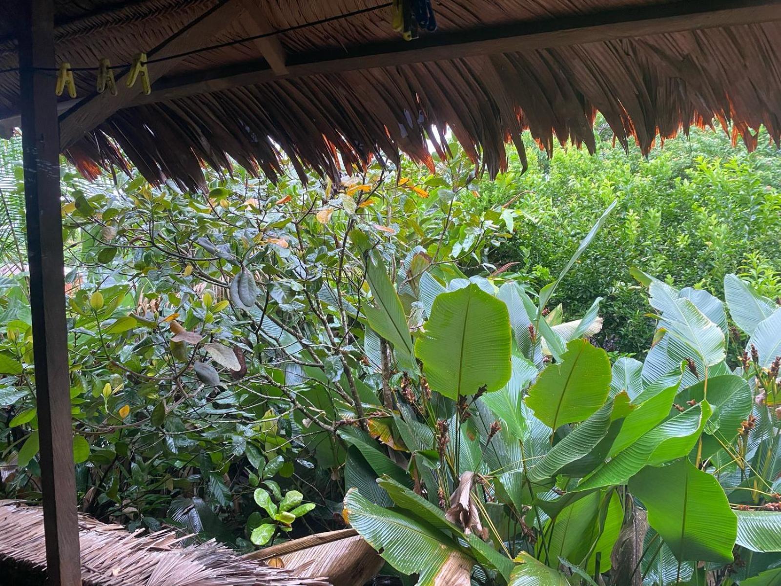 Xingu Camping Site 莱蒂西亚 外观 照片