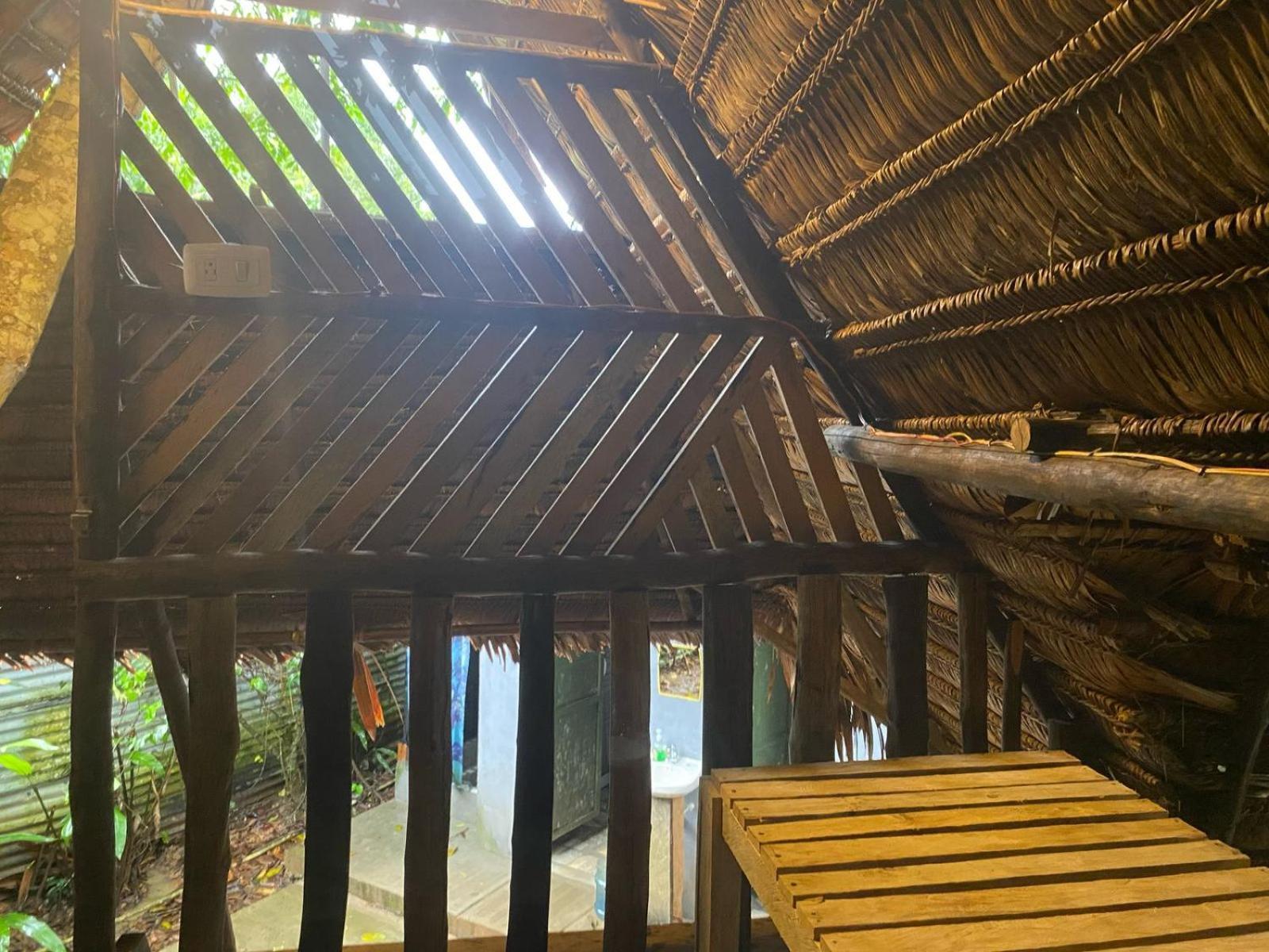 Xingu Camping Site 莱蒂西亚 外观 照片