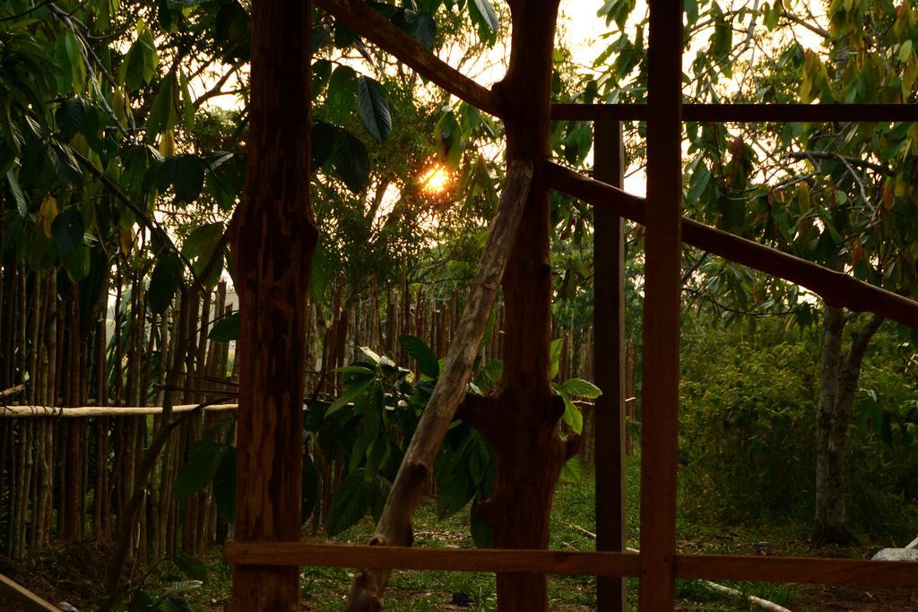 Xingu Camping Site 莱蒂西亚 外观 照片