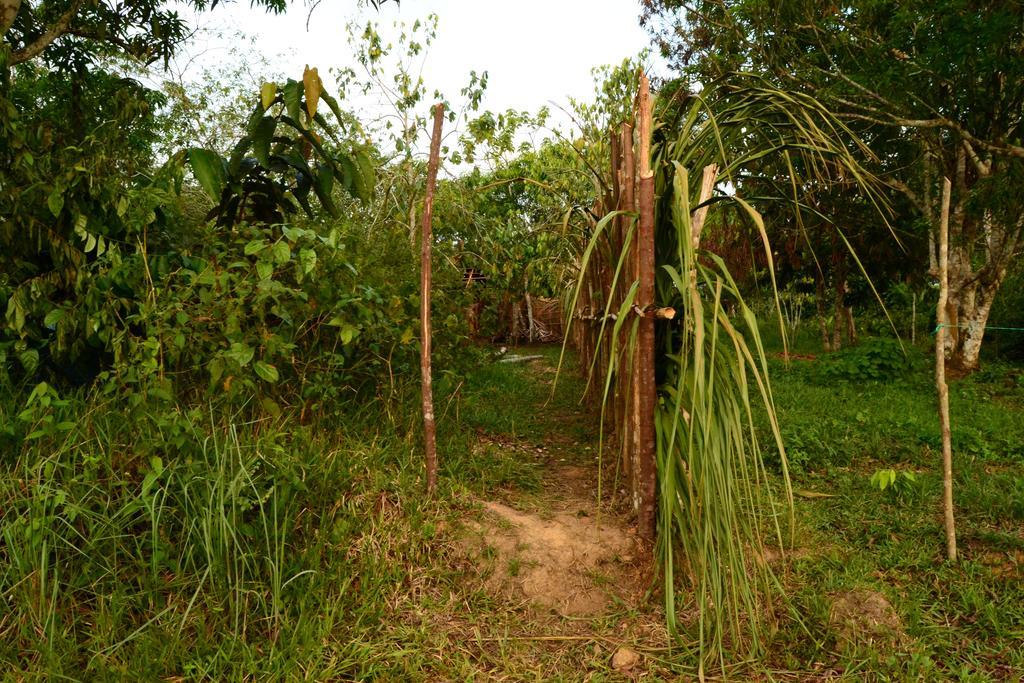 Xingu Camping Site 莱蒂西亚 外观 照片