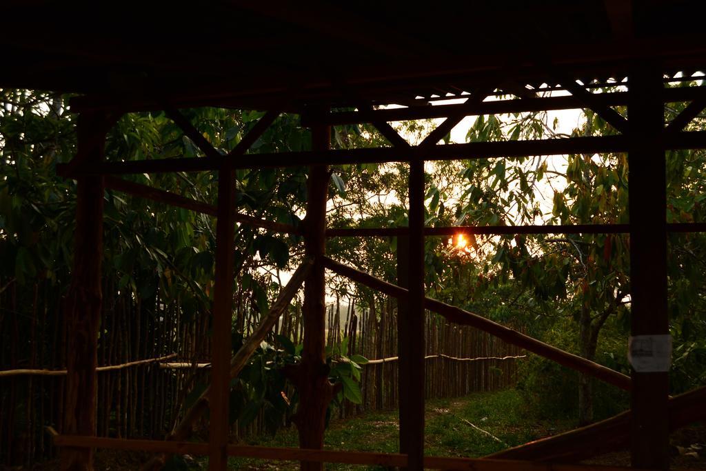 Xingu Camping Site 莱蒂西亚 外观 照片