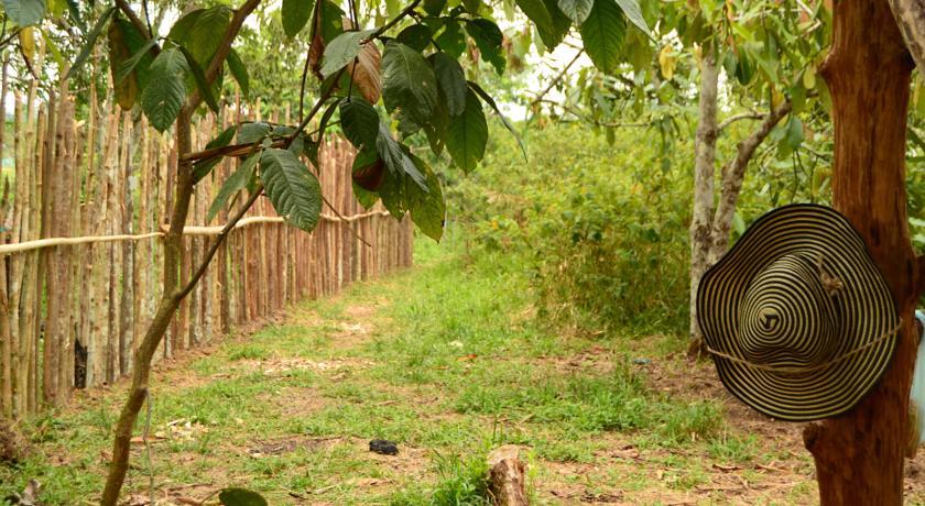 Xingu Camping Site 莱蒂西亚 客房 照片