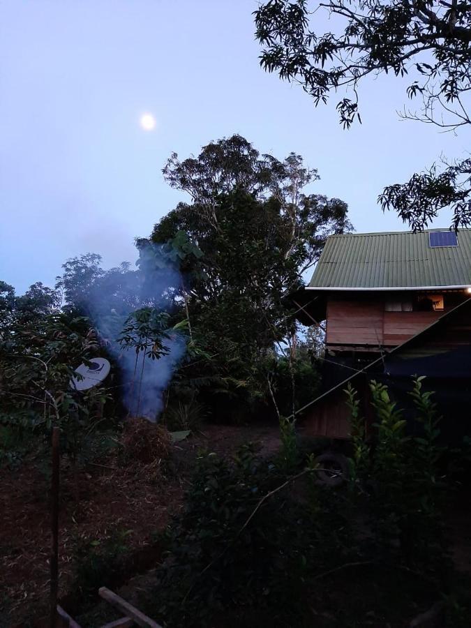 Xingu Camping Site 莱蒂西亚 外观 照片