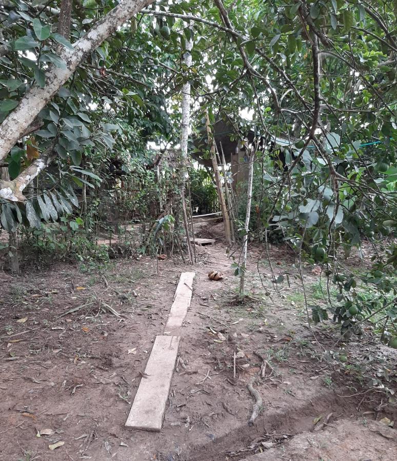 Xingu Camping Site 莱蒂西亚 外观 照片