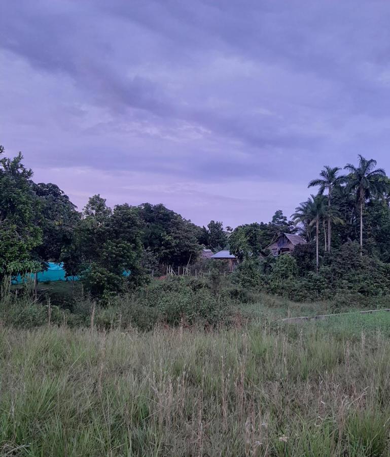 Xingu Camping Site 莱蒂西亚 外观 照片