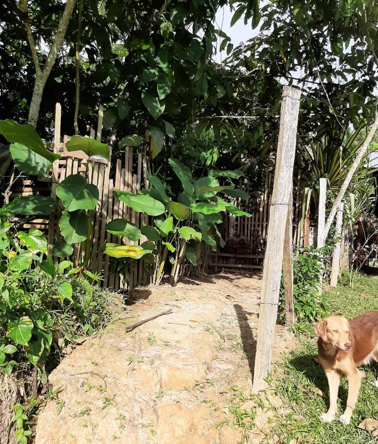Xingu Camping Site 莱蒂西亚 外观 照片