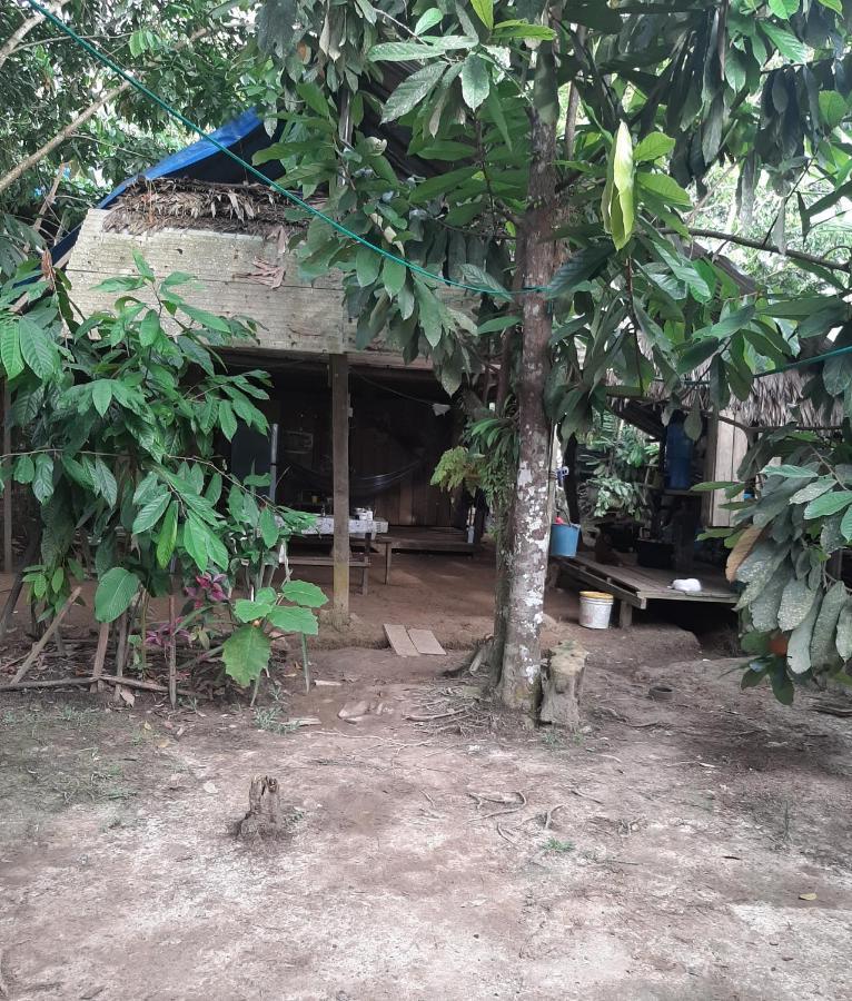 Xingu Camping Site 莱蒂西亚 外观 照片