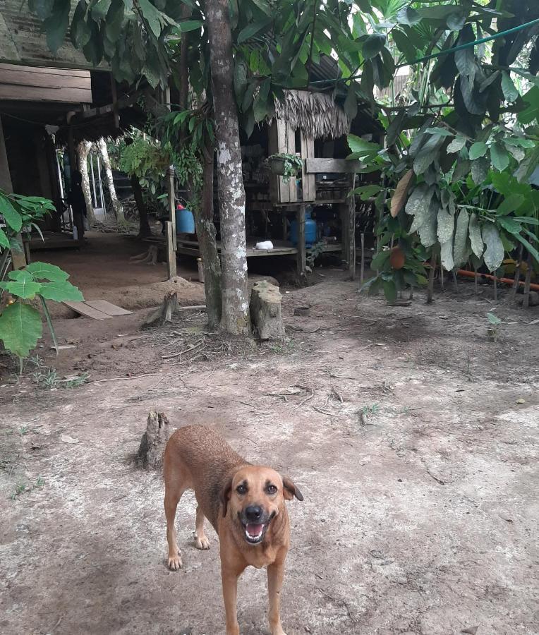Xingu Camping Site 莱蒂西亚 外观 照片