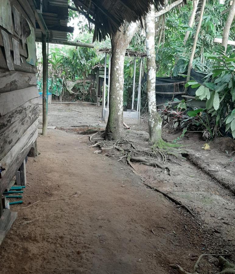 Xingu Camping Site 莱蒂西亚 外观 照片